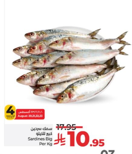 available at لولو هايبرماركت in مملكة العربية السعودية, السعودية, سعودية - مكة المكرمة