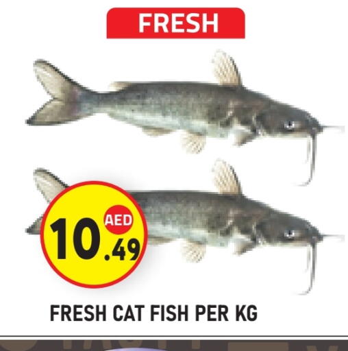 available at سنابل بني ياس in الإمارات العربية المتحدة , الامارات - ٱلْعَيْن‎