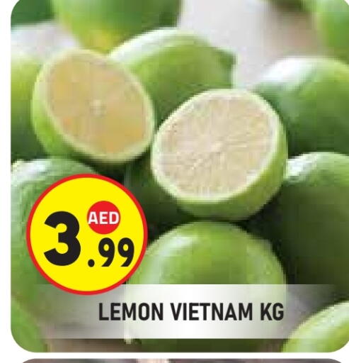 Lemon from Vietnam available at Baniyas Spike  in UAE - Al Ain