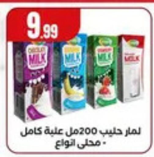 available at مارت فيل in Egypt - القاهرة