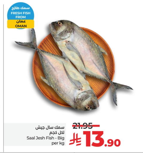available at لولو هايبرماركت in مملكة العربية السعودية, السعودية, سعودية - سيهات