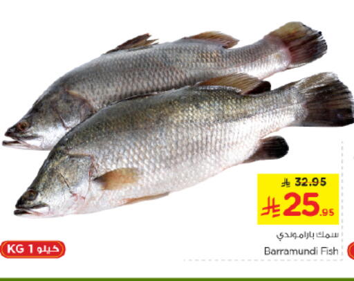 available at نستو in مملكة العربية السعودية, السعودية, سعودية - المجمعة