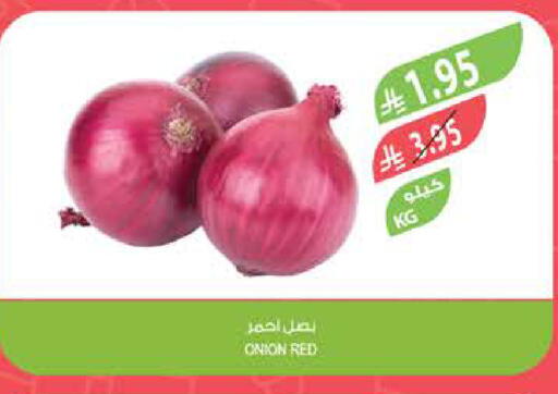 بصل available at المزرعة in مملكة العربية السعودية, السعودية, سعودية - الرياض