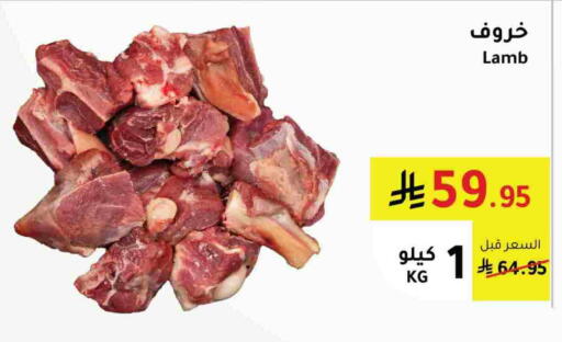 لحم الضأن / الغنم available at الهاجري الأغذية in مملكة العربية السعودية, السعودية, سعودية - أبها