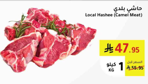 لحم حاشي available at الهاجري الأغذية in مملكة العربية السعودية, السعودية, سعودية - أبها