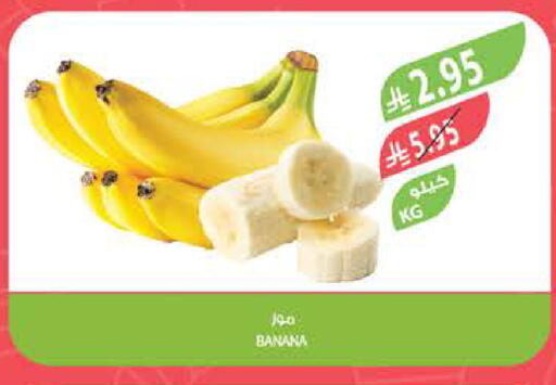موز available at المزرعة in مملكة العربية السعودية, السعودية, سعودية - تبوك