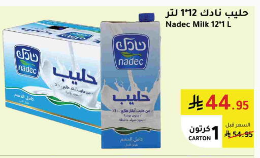 NADEC available at AlHajri Food in KSA, Saudi Arabia, Saudi - Abha