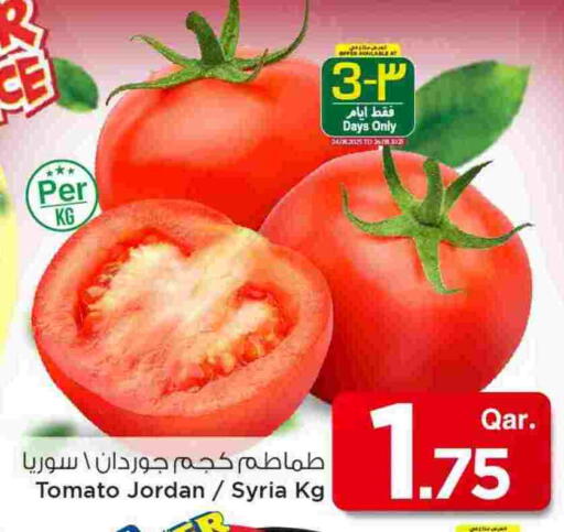 Tomato from Jordan Syria available at Mark & Save  in Qatar - Al Rayyan