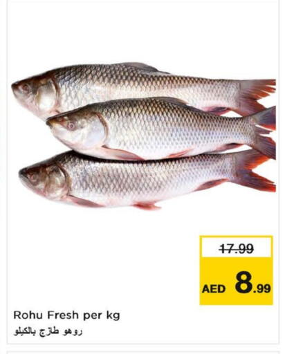 available at نستو هايبرماركت in الإمارات العربية المتحدة , الامارات - أم القيوين‎