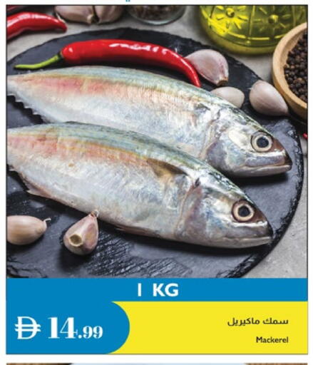 available at إسطنبول سوبرماركت in الإمارات العربية المتحدة , الامارات - الشارقة / عجمان