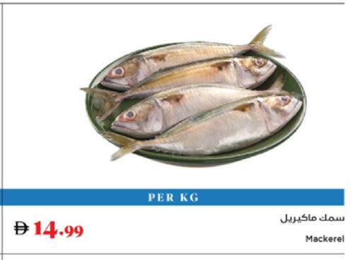 available at تروليز سوبرماركت in الإمارات العربية المتحدة , الامارات - الشارقة / عجمان
