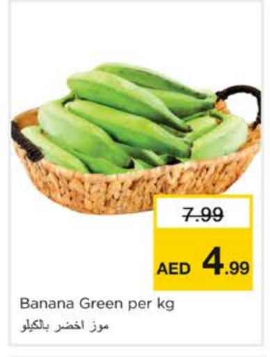 موز أخضر available at نستو هايبرماركت in الإمارات العربية المتحدة , الامارات - الشارقة / عجمان