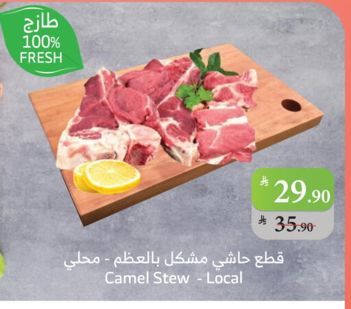 لحم حاشي available at الراية in مملكة العربية السعودية, السعودية, سعودية - تبوك