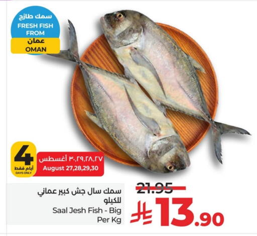 available at LULU Hypermarket in KSA, Saudi Arabia, Saudi - Dammam
