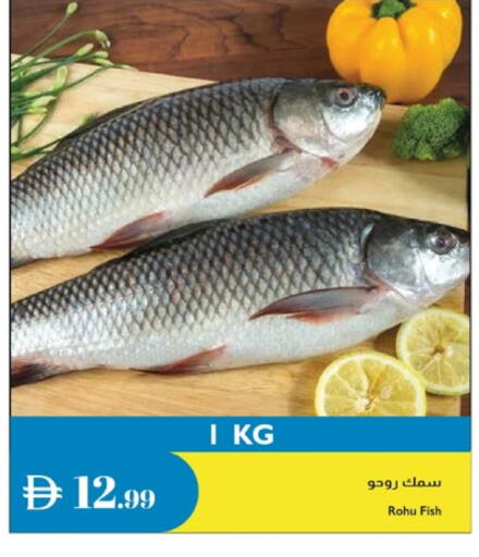 available at إسطنبول سوبرماركت in الإمارات العربية المتحدة , الامارات - الشارقة / عجمان