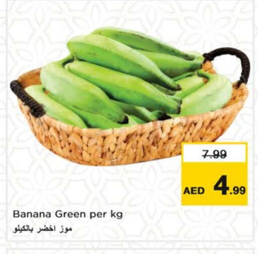 موز أخضر available at نستو هايبرماركت in الإمارات العربية المتحدة , الامارات - الشارقة / عجمان