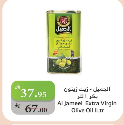 زيت الزيتون البكر available at الراية in مملكة العربية السعودية, السعودية, سعودية - تبوك