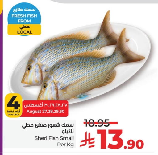 available at LULU Hypermarket in KSA, Saudi Arabia, Saudi - Dammam