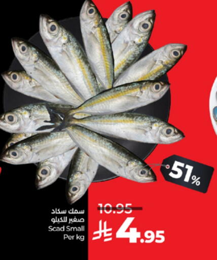 available at لولو هايبرماركت in مملكة العربية السعودية, السعودية, سعودية - جدة