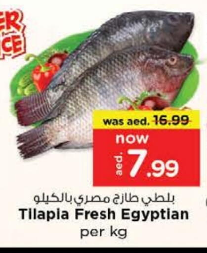 available at نستو هايبرماركت in الإمارات العربية المتحدة , الامارات - أم القيوين‎