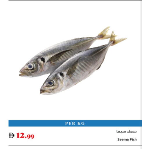 available at تروليز سوبرماركت in الإمارات العربية المتحدة , الامارات - الشارقة / عجمان