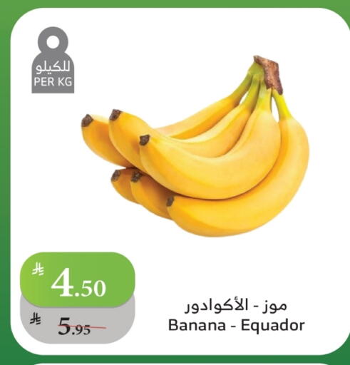 موز available at الراية in مملكة العربية السعودية, السعودية, سعودية - تبوك