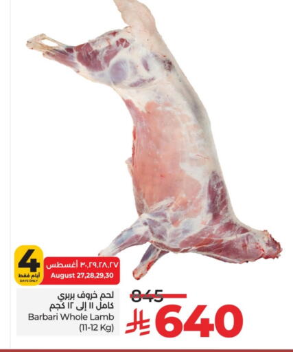 لحم الضأن / الغنم available at لولو هايبرماركت in مملكة العربية السعودية, السعودية, سعودية - حائل‎