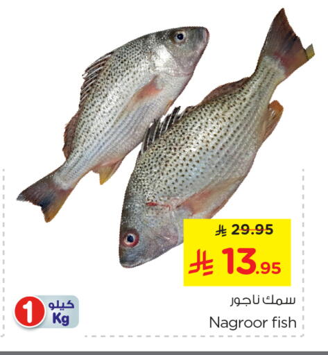 available at نستو in مملكة العربية السعودية, السعودية, سعودية - الرياض