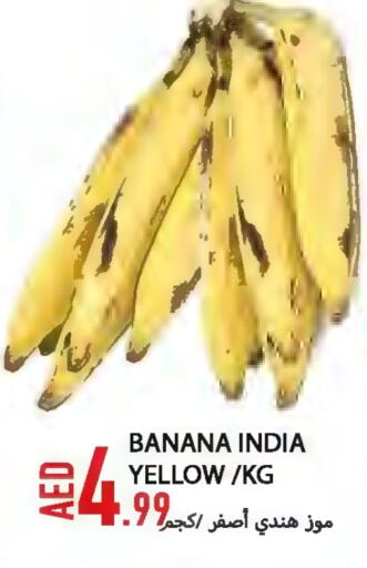 موز from India available at  روابي ماركت عجمان in الإمارات العربية المتحدة , الامارات - الشارقة / عجمان