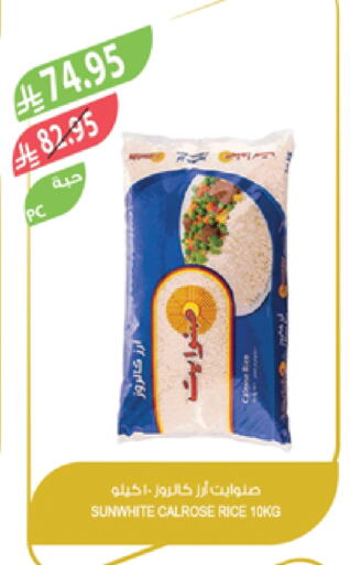 Calrose Rice available at Farm  in KSA, Saudi Arabia, Saudi - Najran