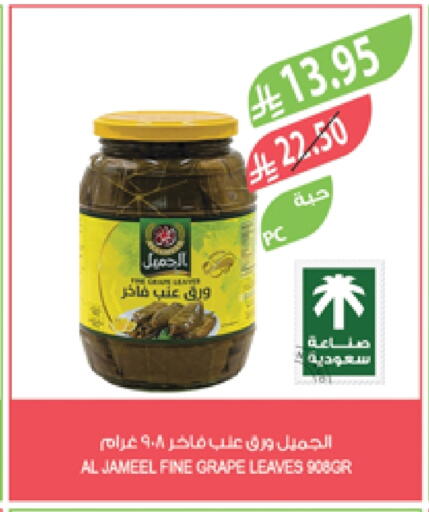 available at Farm  in KSA, Saudi Arabia, Saudi - Yanbu