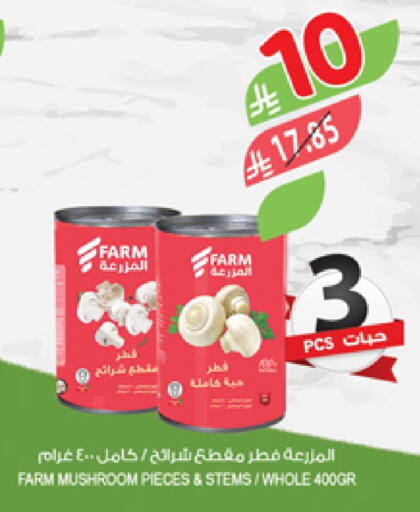 Mushroom available at Farm  in KSA, Saudi Arabia, Saudi - Jazan