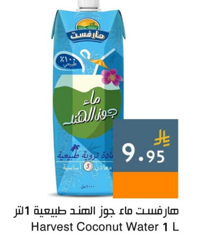 Coconut available at اسواق هلا in مملكة العربية السعودية, السعودية, سعودية - مكة المكرمة