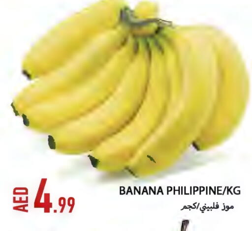 موز from Philippines available at  روابي ماركت عجمان in الإمارات العربية المتحدة , الامارات - الشارقة / عجمان