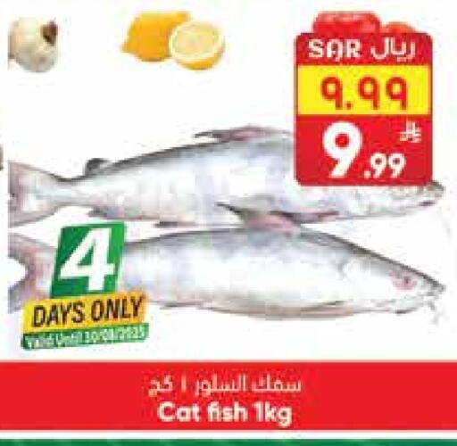 available at ستي فلاور in مملكة العربية السعودية, السعودية, سعودية - سكاكا