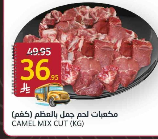 لحم حاشي available at مركز الجزيرة للتسوق in مملكة العربية السعودية, السعودية, سعودية - الرياض