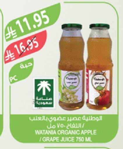 Apple available at Farm  in KSA, Saudi Arabia, Saudi - Abha