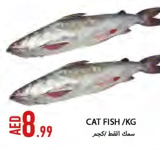 available at  روابي ماركت عجمان in الإمارات العربية المتحدة , الامارات - الشارقة / عجمان