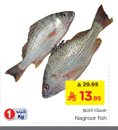 available at نستو in مملكة العربية السعودية, السعودية, سعودية - الرياض