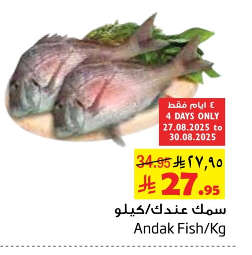 available at Layan Hyper in KSA, Saudi Arabia, Saudi - Dammam