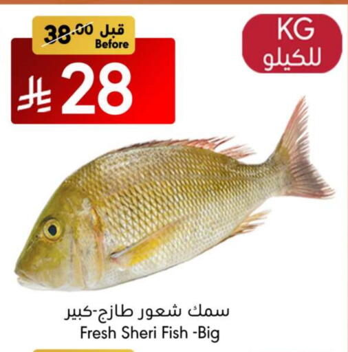 available at مانويل ماركت in مملكة العربية السعودية, السعودية, سعودية - جدة
