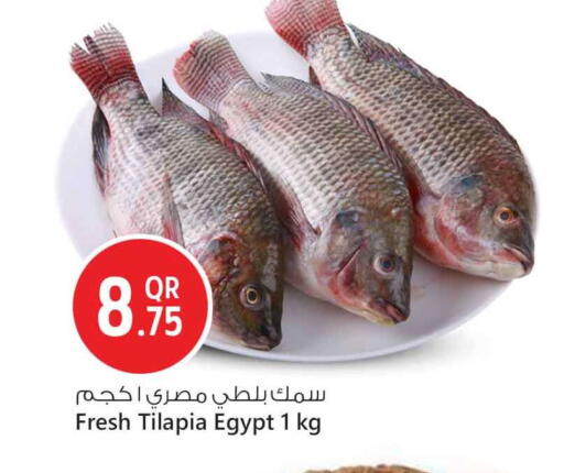 available at سفاري هايبر ماركت in قطر - الدوحة