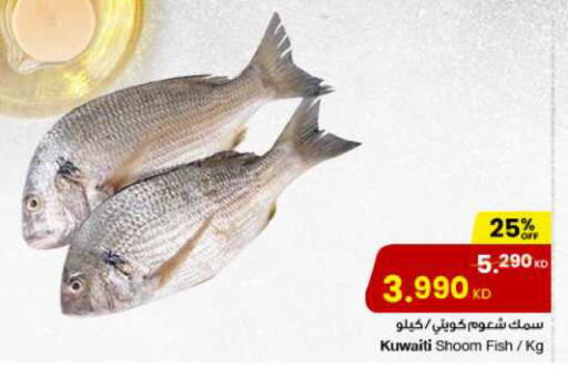 available at مركز سلطان in الكويت - مدينة الكويت