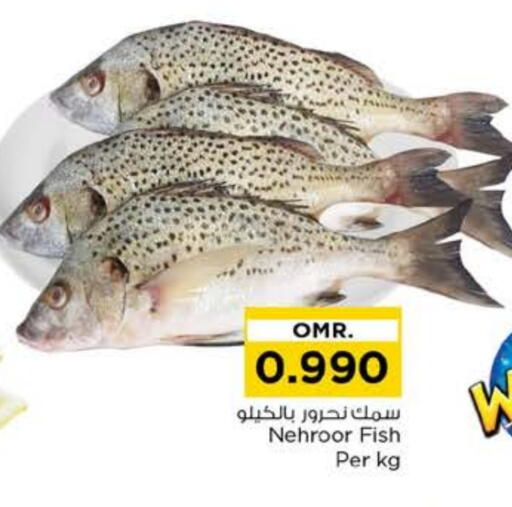 available at نستو هايبر ماركت in عُمان - مسقط‎