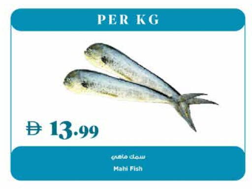 available at تروليز سوبرماركت in الإمارات العربية المتحدة , الامارات - الشارقة / عجمان