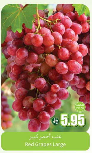 Grapes available at Othaim Markets in KSA, Saudi Arabia, Saudi - Yanbu