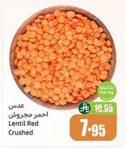 available at Othaim Markets in KSA, Saudi Arabia, Saudi - Qatif