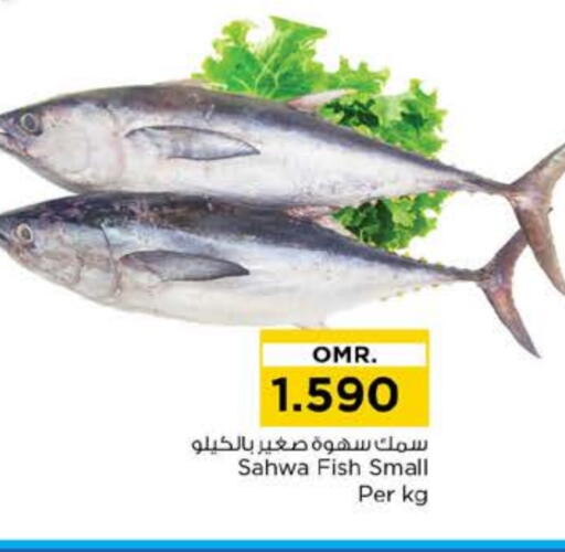 available at نستو هايبر ماركت in عُمان - مسقط‎