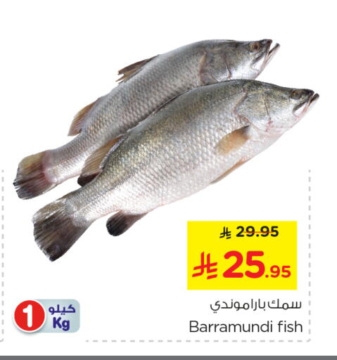 available at نستو in مملكة العربية السعودية, السعودية, سعودية - الرياض