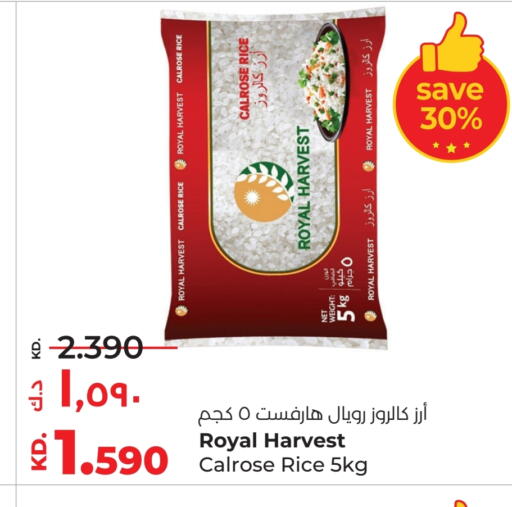 أرز كالروز available at لولو هايبر ماركت in الكويت - مدينة الكويت